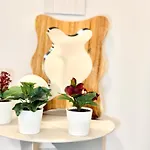 Luxe Eco-paradise Milano